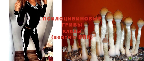круглые Алексеевка