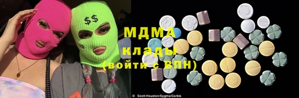 индика Алзамай