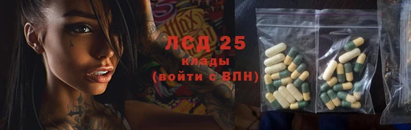 индика Алзамай