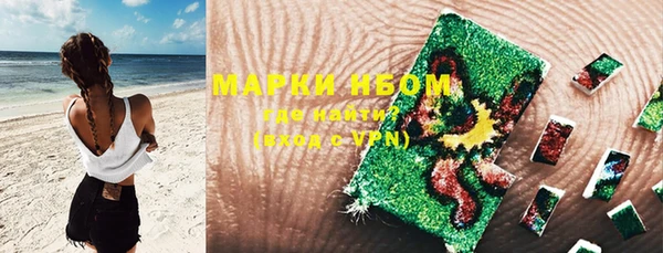 индика Алзамай