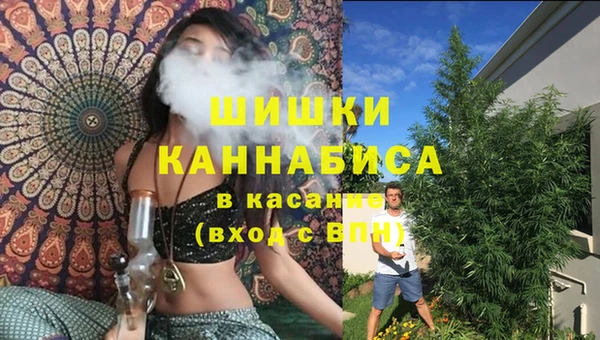 индика Алзамай