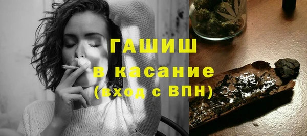 индика Алзамай