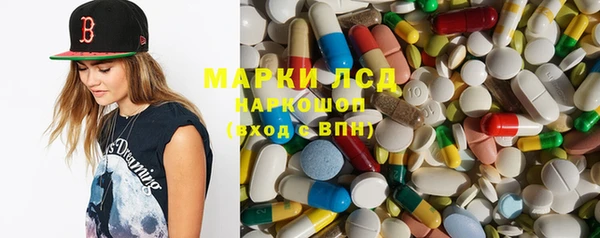 индика Алзамай