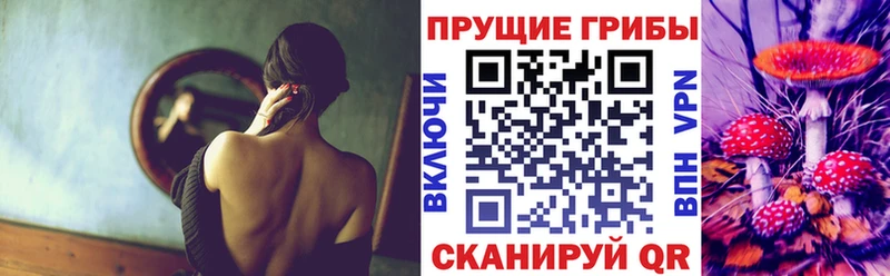как найти закладки  Олонец  Галлюциногенные грибы GOLDEN TEACHER 