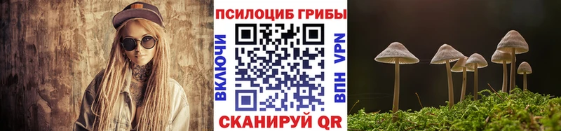Галлюциногенные грибы Psilocybine cubensis Олонец